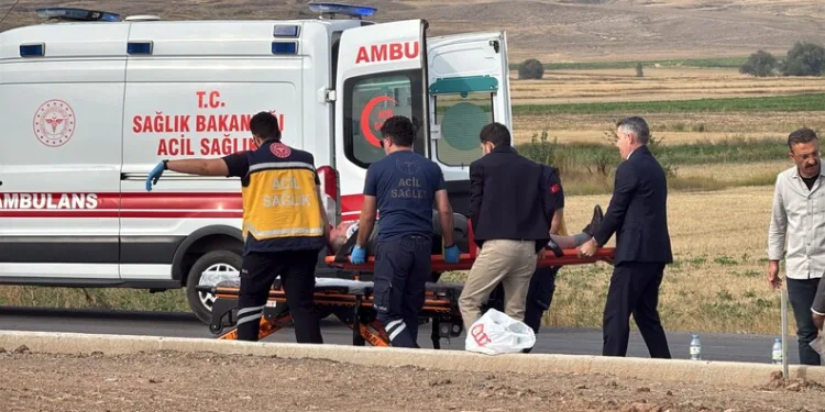Depo görünümlü alana kenevir eken şüpheli yakalandı