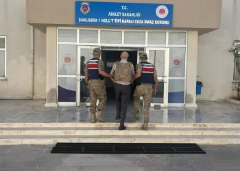 Depo görünümlü alana kenevir eken şüpheli yakalandı