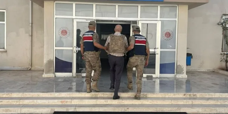Depo görünümlü alana kenevir eken şüpheli yakalandı