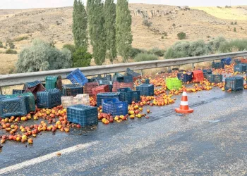 Depo görünümlü alana kenevir eken şüpheli yakalandı