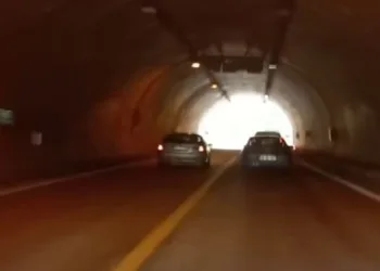 Depo görünümlü alana kenevir eken şüpheli yakalandı