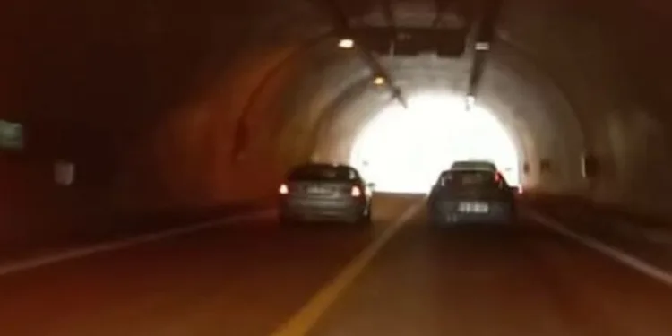 Depo görünümlü alana kenevir eken şüpheli yakalandı