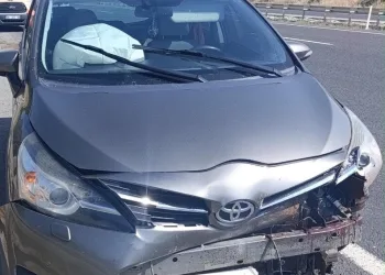 Depo görünümlü alana kenevir eken şüpheli yakalandı
