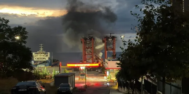 Hayvanları belgesiz sevk edenlere yasal işlem uygulandı