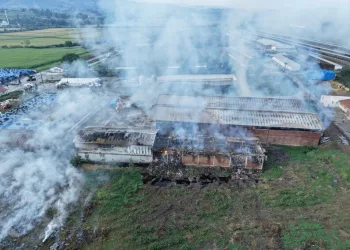 Hayvanları belgesiz sevk edenlere yasal işlem uygulandı