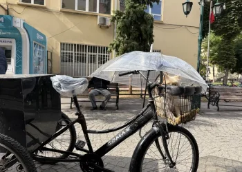 Hayvanları belgesiz sevk edenlere yasal işlem uygulandı