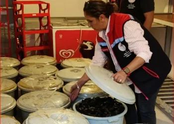 Hayvanları belgesiz sevk edenlere yasal işlem uygulandı