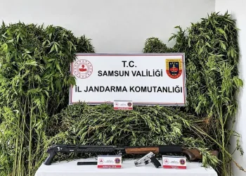 Hayvanları belgesiz sevk edenlere yasal işlem uygulandı