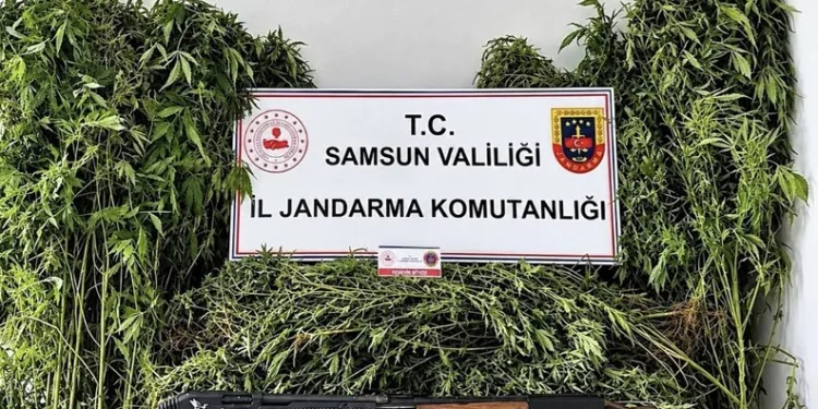 Hayvanları belgesiz sevk edenlere yasal işlem uygulandı