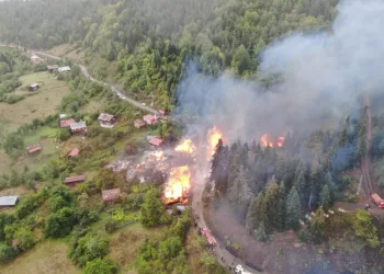 Hayvanları belgesiz sevk edenlere yasal işlem uygulandı