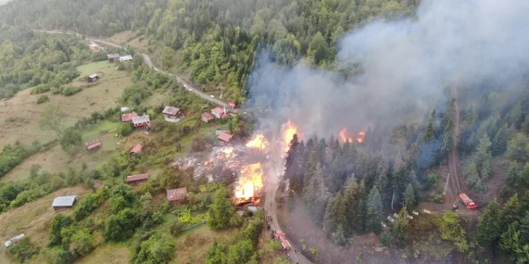 Hayvanları belgesiz sevk edenlere yasal işlem uygulandı