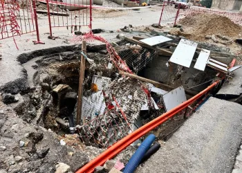 Hayvanları belgesiz sevk edenlere yasal işlem uygulandı