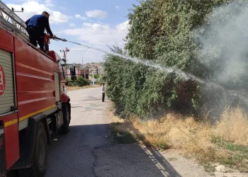 Hayvanları belgesiz sevk edenlere yasal işlem uygulandı