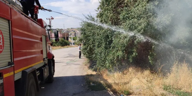 Hayvanları belgesiz sevk edenlere yasal işlem uygulandı