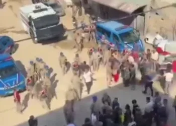 Hayvanları belgesiz sevk edenlere yasal işlem uygulandı
