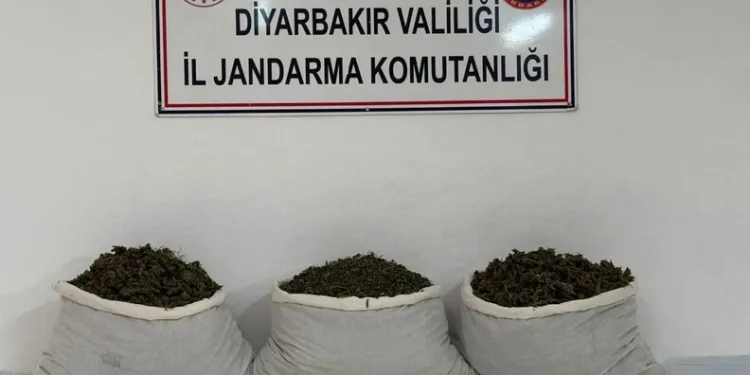 Patlamaların yaşandığı çöp konteynerinde bu defa da yangın çıktı