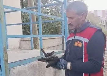 Şanlıurfa’da 16 yıl kesinleşmiş hapis cezayla aranan şahıs yakalandı