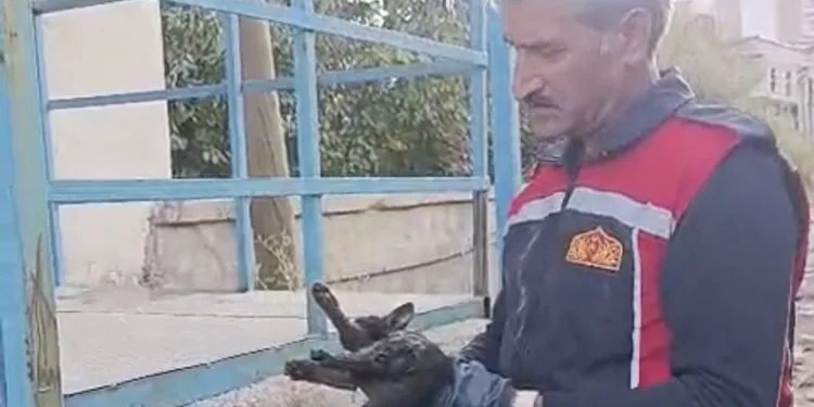 Şanlıurfa’da 16 yıl kesinleşmiş hapis cezayla aranan şahıs yakalandı