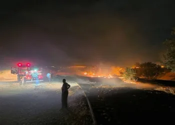 Malatya’da uyuşturucu operasyonu: 4 gözaltı
