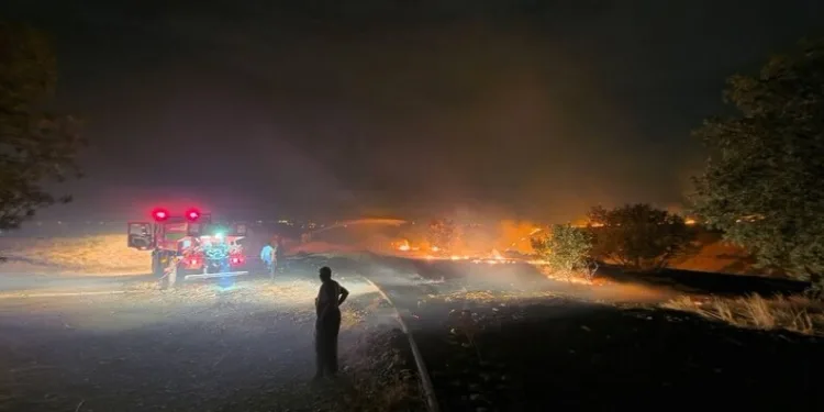Malatya’da uyuşturucu operasyonu: 4 gözaltı