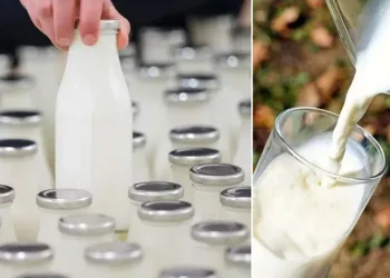 İçme Sütleri Tebliğinde değişiklik