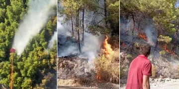 Manavgat’ta orman yangını