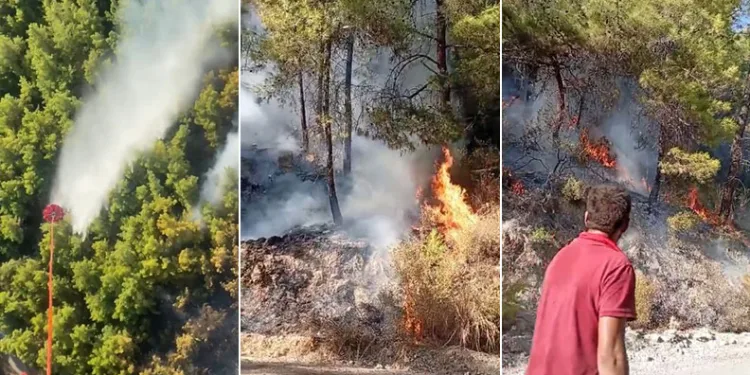 Manavgat’ta orman yangını