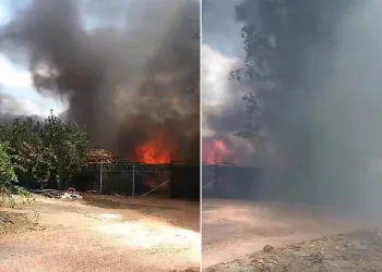 Depoda çıkan yangın ekiplerin hızlı müdahalesiyle söndürüldü