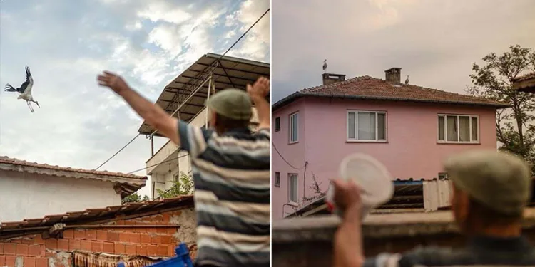 Yaren leyleğin vedası yürek burktu