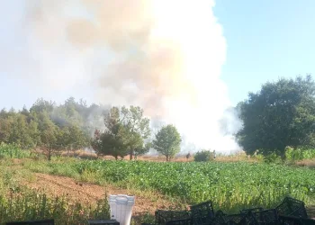 Bursa’da orman yangını: Havadan ve karadan müdahale başlatıldı