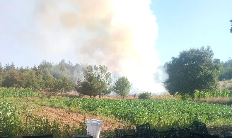 Bursa’da orman yangını: Havadan ve karadan müdahale başlatıldı