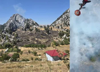 Alanya’nın iki ayrı mahallesindeki kısmen ormana sıçrayan yangın söndürüldü