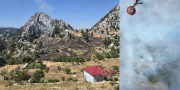 Alanya’nın iki ayrı mahallesindeki kısmen ormana sıçrayan yangın söndürüldü