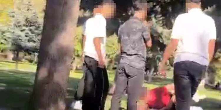 17 yaşındaki çocuğa parkta saldırı: 2 çocuk gözaltında