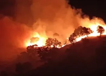 Siirt’teki yangın kontrol altına alındı