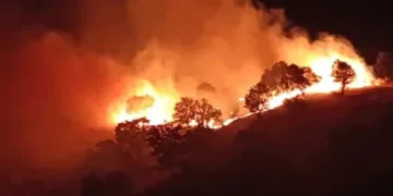 Siirt’teki yangın kontrol altına alındı