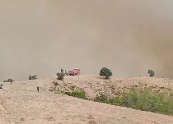 Kozan’da orman yangını: 5 helikopter, 2 uçakla mücadele sürüyor