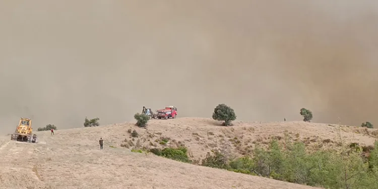Kozan’da orman yangını: 5 helikopter, 2 uçakla mücadele sürüyor