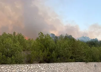 Adana’daki orman yangını kontrol altında