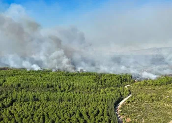 Antalya ve Adana’da orman yangını: Kent duman altında kaldı