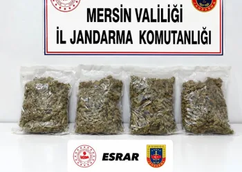 Mersin’de uyuşturucu operasyonu: 2 gözaltı