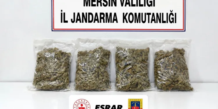 Mersin’de uyuşturucu operasyonu: 2 gözaltı