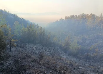 Kumluca’daki orman yangını kısmen kontrol altında