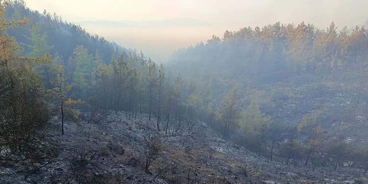 Kumluca’daki orman yangını kısmen kontrol altında