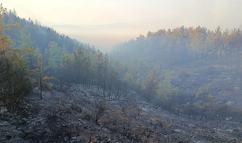 Kumluca’daki orman yangını kısmen kontrol altında
