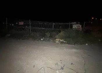 Adana’da yol kenarında erkek cesedi bulundu