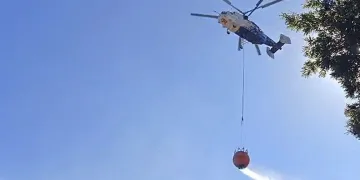 Karamürsel-İznik sınırında orman yangını