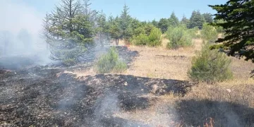 Elazığ’da örtü yangını