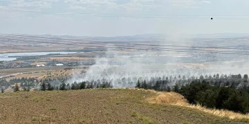 Ankara Gölbaşı’nda ormanlık alanda yangın