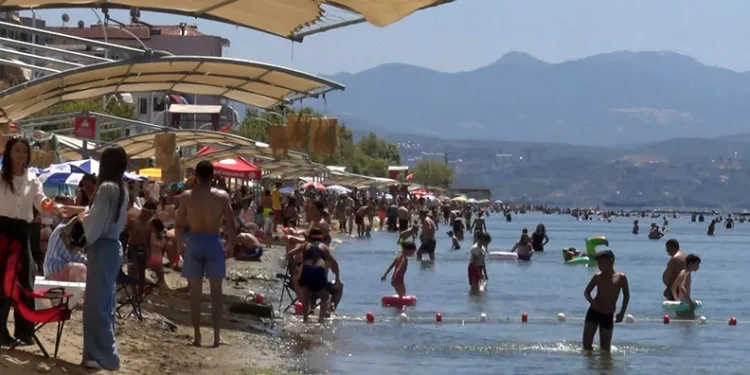 Bursa’nın sahillerinden sevindiren haber
